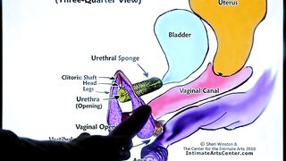SQUIRTING TUTORIAL 2 !!! Mr PussyLicking