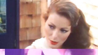 Svensk Erotikfilm 342