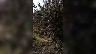 Showing tits in Private Orange fields near highway!!