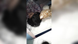 I TAKE ADVANTAGE OF HER SLEEPING AND I MAKE HER SUCK MY COCK AND SWALLOW MY CUM