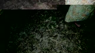 Outdoor jungle sex in her neighbour brother with audio.