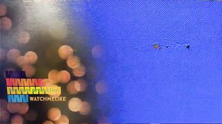 wowmelike video