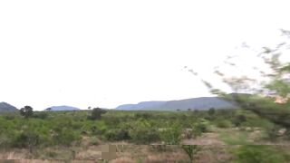 Hot ebony girlfriend sucks and rides a huge white cock gonzo POV