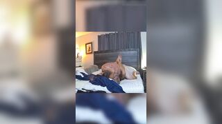 Amateur hotwife fucking