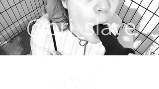 Good slave who practices sucking