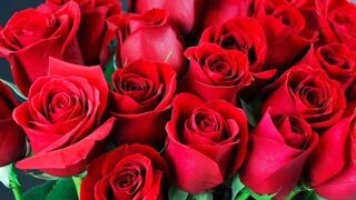 Bangla choto golpo new bangla choti golpo full Bangla choti golpo new full Bangla choti story