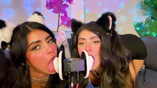 ASMR TWO Cats Flirt and Lick Your Ears with Eye Contact layered sounds - CorneliustheCat ASMR