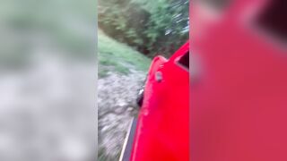 Back seat sex